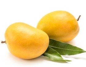 Alphonso