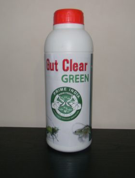 Gut Clear Green