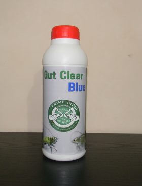 Gut Clear-Blue