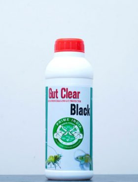 Gut Clear Black