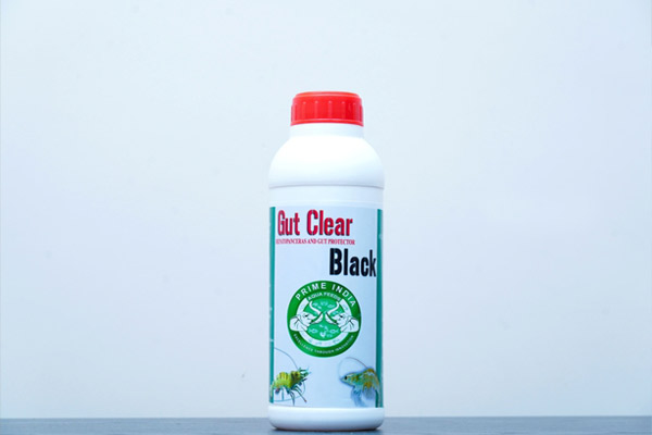 Gut Clear Black