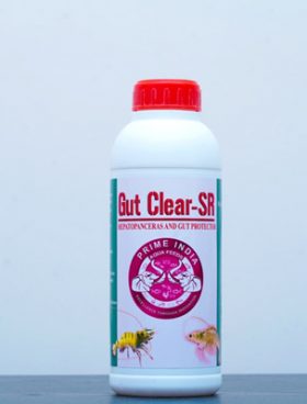 Gut Clear-SR