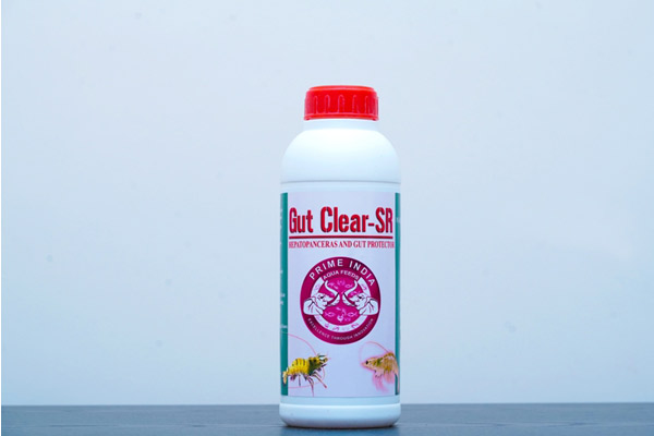 Gut Clear-SR