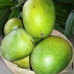 Kothapalli Kobbari