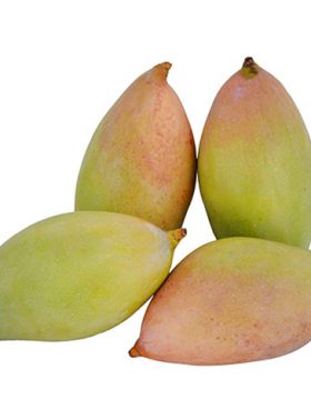 Tothapuri